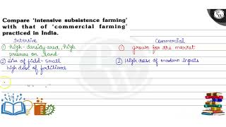 Understanding Commercial Farming Modern Agricultural Practices [upl. by Poree]