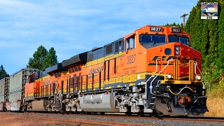 BNSF Trains [upl. by Kurt]