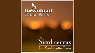 Sicut cervus  Bass Emphasized [upl. by Cartwright6]