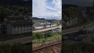 schaffhausen schweiz suisse schwitzerland shorts yt [upl. by Cadmar736]