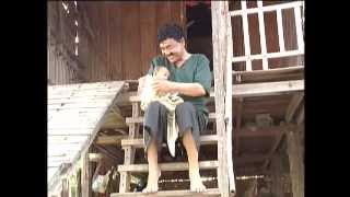 Khmer Comedy ឣាជ័យមេគ្រត  A Chey Mi Krot [upl. by Blas]