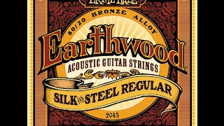 Ernie Ball 2045 Earthwood 8020 Bronze Silk and Steel Soft Acoustic Guitar Strings Review [upl. by Bivins448]