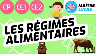 Les régimes alimentaires CE1  CP  CE2  Cycle 2  Questionner le monde  Le monde du vivant [upl. by Huan567]