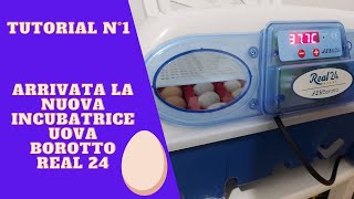 ARRIVATA LA NUOVA INCUBATRICE UOVA BOROTTO REAL 24 TUTORIAL N°1 [upl. by Airdua548]