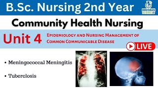 Meningococcal Meningitis  Tuberclosis  Unit 4  Bsc Nursing 2nd Year [upl. by Aihselef]