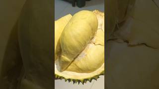 Durian season 越南榴莲季节 榴莲 ทุเรียน durian delicious [upl. by Akfir]