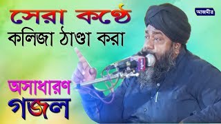 সেরা কণ্ঠে অসাধারণ গজল হাসান রেজা  Hasan Reza  Bangla Gojol  New Naat  2019 [upl. by Inverson]