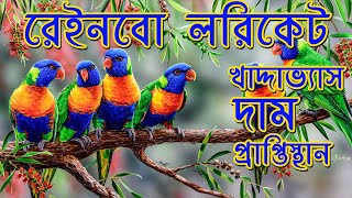 Rainbow Lorikeet Information in Bangla [upl. by Ahsiele]