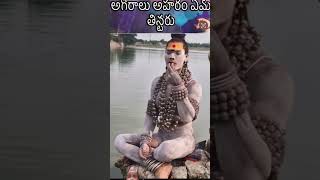 అమ్మ అఘోరా ఏమి ఆహారం తింటారు🔱🔥📿agora viralshivayoutubeshorts kasitrending viralvideo [upl. by Jeremiah]