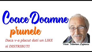 Coace Doamne prunele [upl. by Violante]