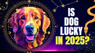 DOG YOUR 2025 Chinese Horoscope Is dog lucky in 2025 Dog Horoscope 2025 2025 horoscope2025 [upl. by Corron343]