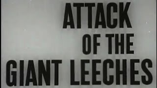 Attack Of The Giant Leeches  Trailer [upl. by Sollows]