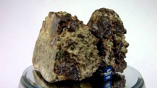 Meteorite NWA 8251 Achondrite Lodranite Breccia [upl. by Miarfe818]