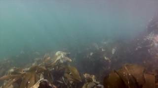 Gruinard Bay  Beneath the Waves [upl. by Rosamond]