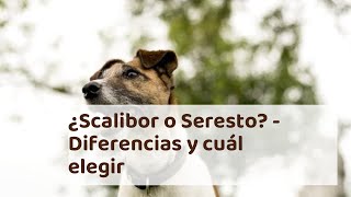 ¿SCALIBOR O SERESTO  Diferencias y Cuál Elegir [upl. by Ydor809]