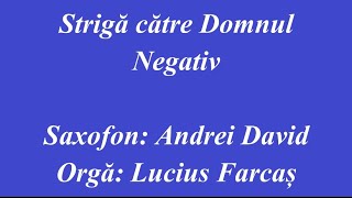 NEGATIV  STRIGA CATRE DOMNUL [upl. by Fenton550]