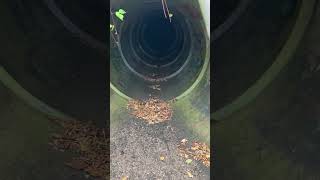 Foreboding Drainage Pipe [upl. by Strickman]