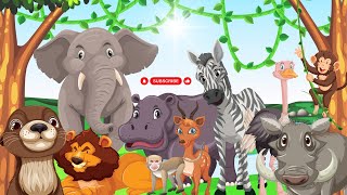 VIDEO ANIMALI  VIDEO CARATTERISTICHE NOMI E SUONI DEGLI ANIMALI PER BAMBINI  VERSI REALI [upl. by Lisk]