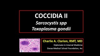 Sarcocystis hominis Sarcocystis suihominis Toxoplasma gondii [upl. by Dorsey]