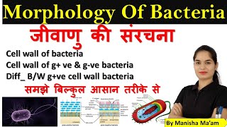 Morphology of Bacteria in hindi  Bacterial Structure  Bacteriology  Microbiology lecture [upl. by Suolhcin297]