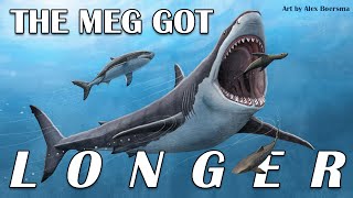 The Meg got Longer [upl. by Becki]