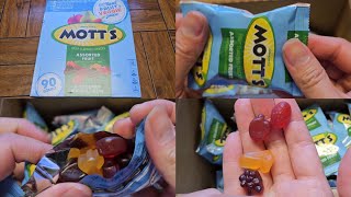 Costco Sale Item Review Motts Assorted Fruit Snacks Taste Test [upl. by Waddle633]