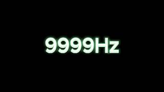 9999Hz  9999KHz Tone Test Speaker amp Headphone Frequency Response Test [upl. by Gillett415]