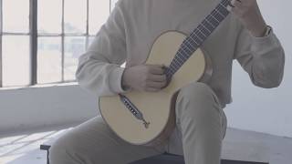 Altamira Vienna Stauffer Guitar  Product Demonstration [upl. by Winther]