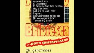 Tablaturas para Guitarra de Antonio Bribiesca y otros guitarristas [upl. by Ysdnyl748]