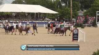 WIHS Shetland Pony Steeplechase at the Devon Horse Show May 26 2014 [upl. by Felicia]