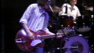 The Grapes of Wrath Live at the Amnesty International Benefit1988 [upl. by Oralee]