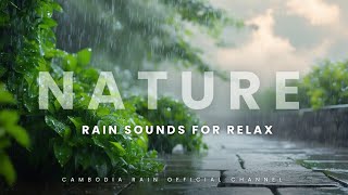 Fresh Nature Days 🌧️💦💧🌩️⛈️⚡☔Rrain soundsHealWhite noise CAMBODIA RAIN OFFICIAL⛈️🌩️ [upl. by Imeaj]