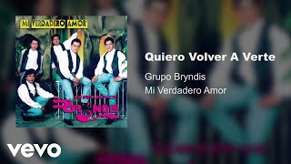 Grupo Bryndis  Quiero Volver A Verte Audio [upl. by Raffin]