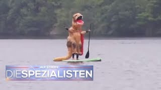 Horror beim Stand Up Paddling Dino ersäuft im See  Auf Streife  Die Spezialisten  SAT1 TV [upl. by Ardnalak868]