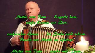 Steirische Harmonika  Weihnachtslieder quot Mistln vom Bam quot [upl. by Delanos]