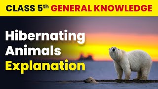 Hibernating Animals  Explanation  Class 5 General Knowledge  CBSE 202425 [upl. by Auhs]