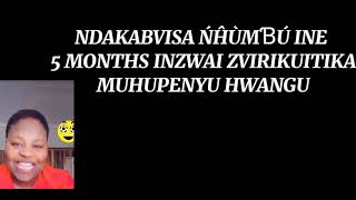 NDAKABVISA NHUMBU INE 5 MONTHS CHINZWAI ZVAAKUITIKA MUHUPENYU HWANGU [upl. by Jaela]