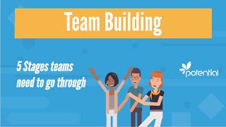 5 Stages of Team Building  What you should know when developing teams or groups [upl. by Nyltiac840]