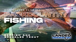 Inshore Fishing Homosassa Florida Redfish and Speckled Trout  Florida Fishing Tips [upl. by Benyamin]