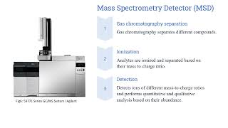 Comparison of Gas Chromatography Detectors and Application in Food Analysis [upl. by Hoopen]