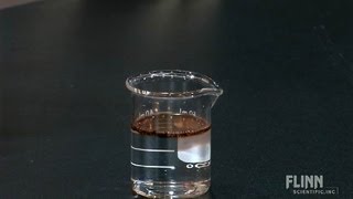 Inhibition of Hydrogen Peroxide [upl. by Rosy]