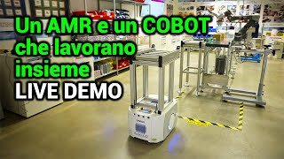 AMR  COBOT  Robotica collaborativa  DEMO  Alfacod Experience Center [upl. by Hteb]