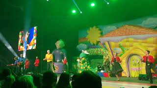 DOROTHY Dorothy The Dinosaur  The OG Wiggles Reunion Tour 2022 Perth [upl. by Diskin369]