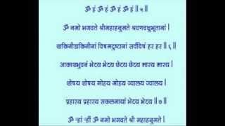 HANUMAN VADVANAL STOTRA Fastest hanuman vadvanal Smitjoshiofficial sanatandharma [upl. by Yerffoj]