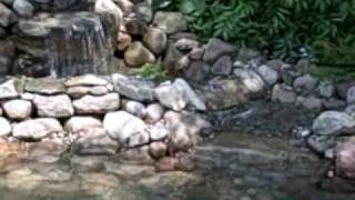 How To Enlarge A Koi Pond quotA Step By Step Tutorialquot in Scotch Plains NJ [upl. by Mungovan264]