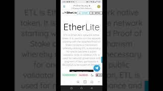 Add Etherlite Mainnet to Metamask Wallet [upl. by Hearn907]