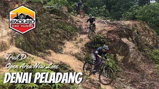 Exploring the New Line on Trail D  MEC2024 Practice at Denai Peladang Bike Park [upl. by Annohsat]