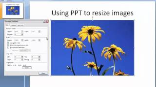 How to crop and resize an image using PowerPoint [upl. by Sterling656]