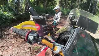 Lockyer National Park reconnaissance ride on CRF300 and DR200 with gumbies [upl. by Bremer]