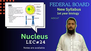 Nucleus  Structure and function of Nucleus  class 11 [upl. by Haletta]